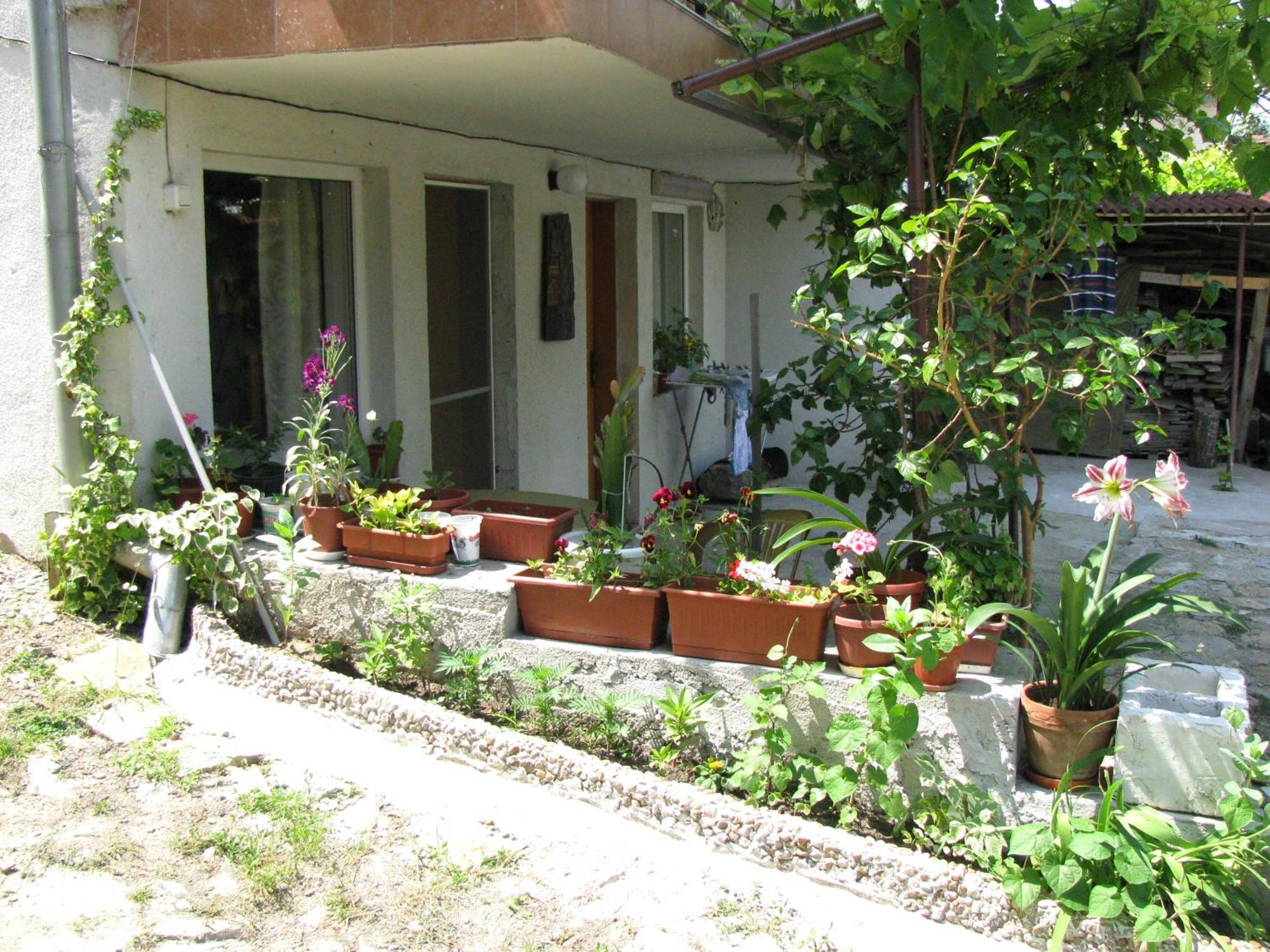Guest House Familia Samovodene Luaran gambar
