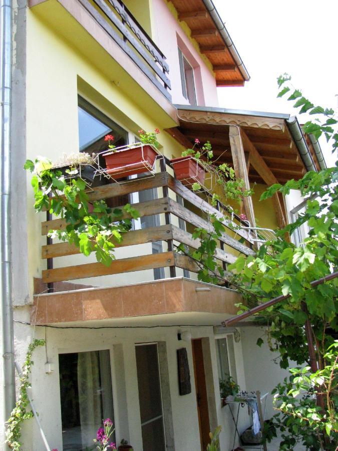 Guest House Familia Samovodene Luaran gambar